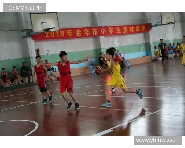 西安篮球队在城市联赛中的战术分析与表现评估